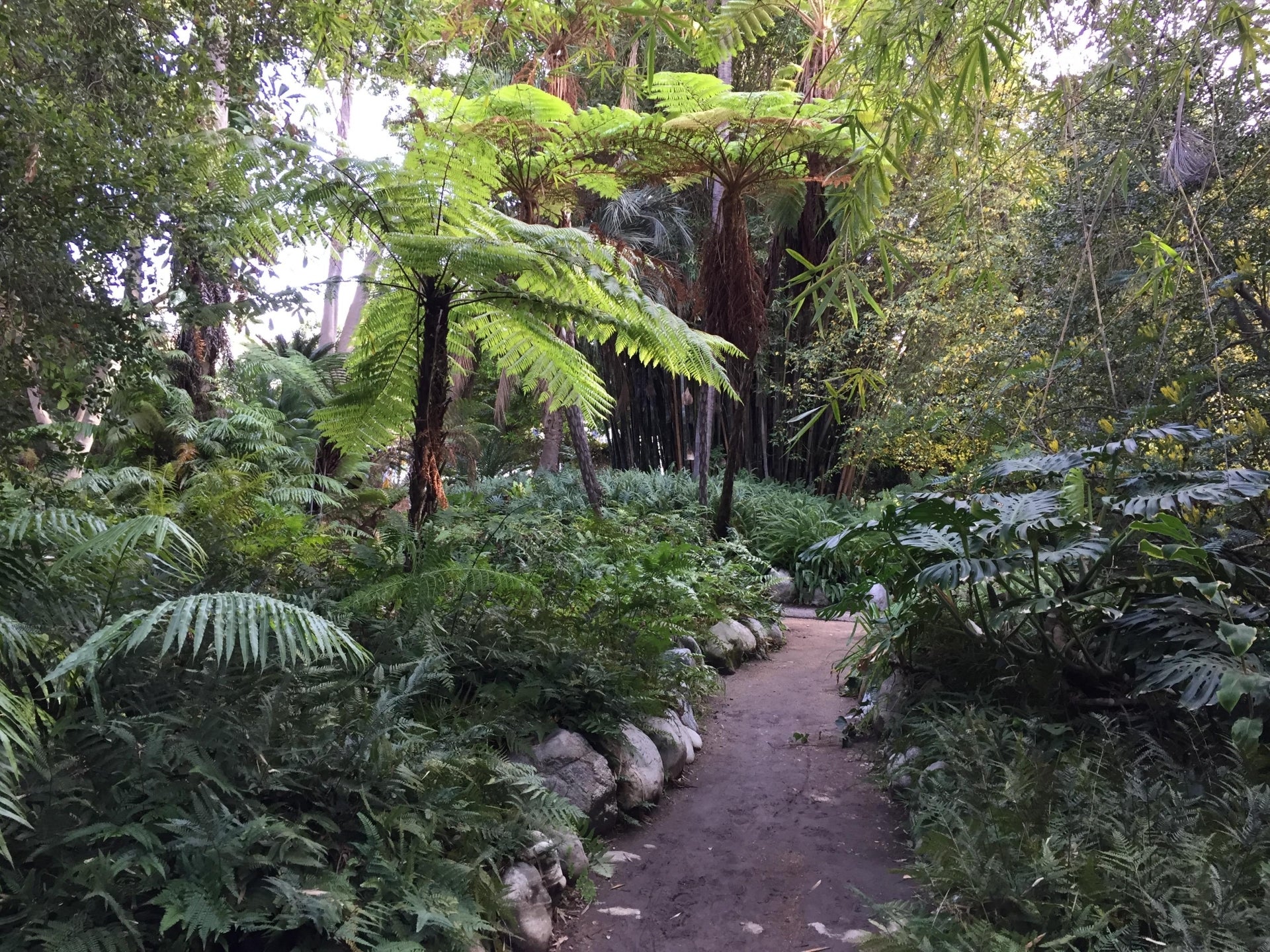 植物好きのためのロサンゼルスガイド | Discover Los Angeles